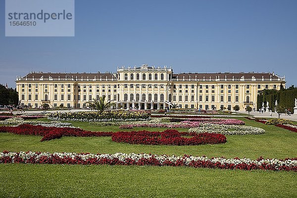 Blumenbeete vor dem Schloss Schönbrunn  Wien  Österreich  Europa