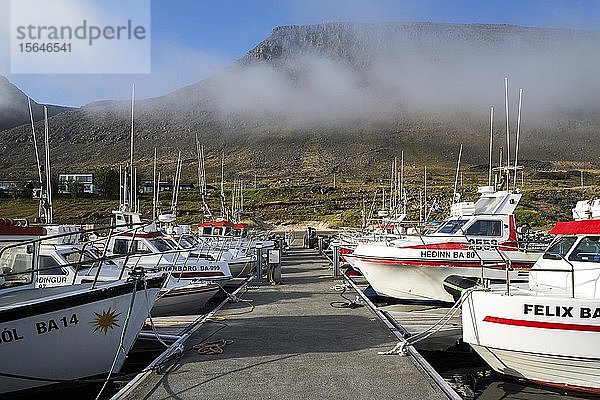 Fischerboote im Hafen von Patreksfördur  Westfjorde  Island  Europa