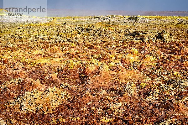 Dallol hydrothermale heiße Quellen in der Danakil-Senke  Afar-Dreieck  Äthiopien  Afrika