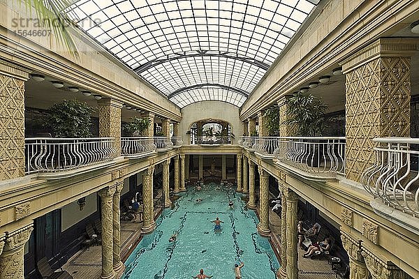 Hallenschwimmbad im St. Gellért Thermalbad  Budapest  Ungarn  Europa