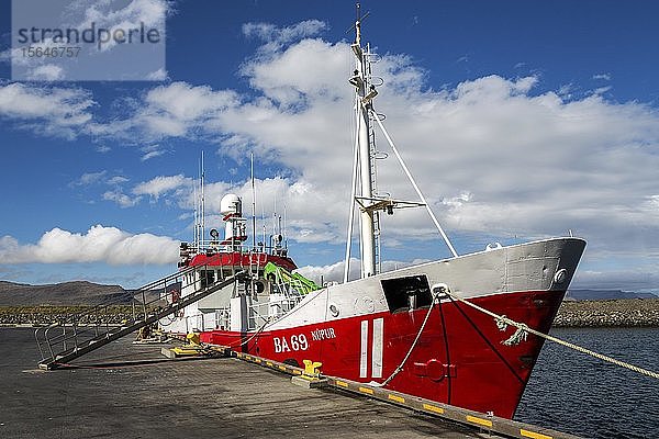 Fischerboot im Hafen von Patreksfördur  Westfjorde  Island  Europa