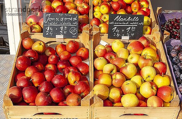 Frische Äpfel mit Preisschildern in Holzkisten an einem Marktstand  Deutschland  Europa