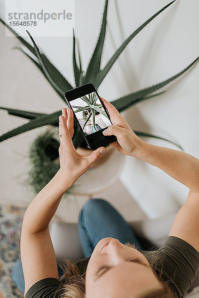 Frau fotografiert Hauspflanze mit dem Handy