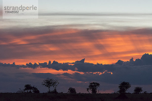 Sonnenuntergang über dem Lualenyi-Wildreservat  Voi  Kenia
