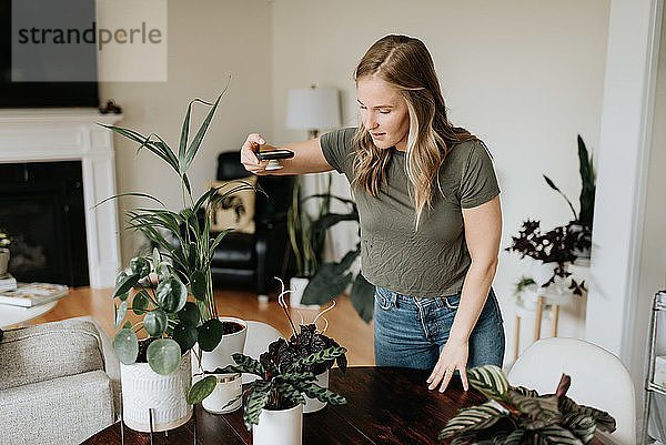 Frau fotografiert Zimmerpflanzen mit dem Handy