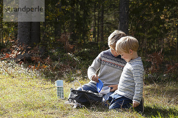 Brüder beim Picknick im Wald an einem sonnigen Tag