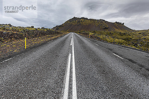 Straße entlang eines vulkanischen Lavafeldes  Snaefellsbaer  Vesturland  Island
