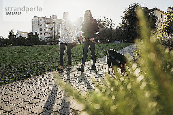 Schwestern gehen mit Hund im Park spazieren