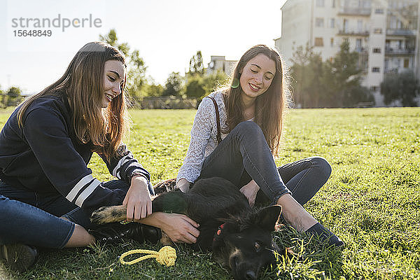 Schwestern spielen mit Hund im Park