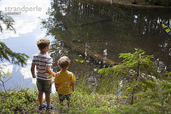 Brüder spielen am See