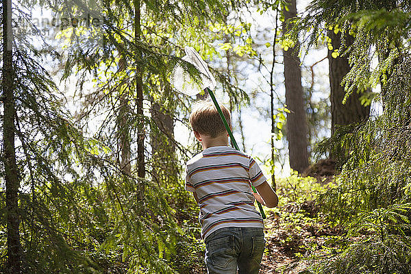 Junge erkundet Wald  Finnland