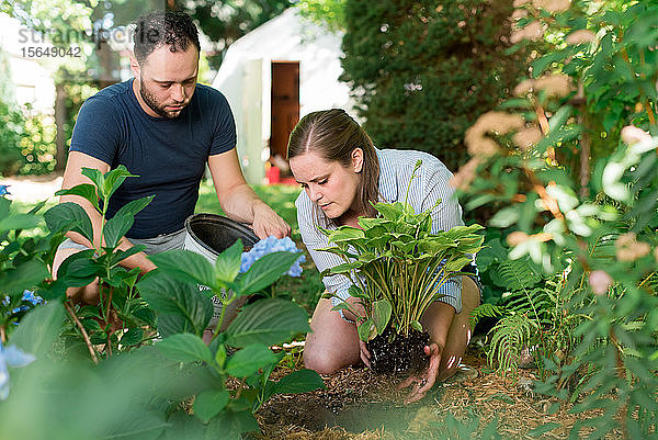 Ehepaar Gartenarbeit im Hinterhof