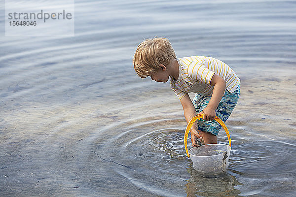 Junge sammelt Muscheln am Strand auf