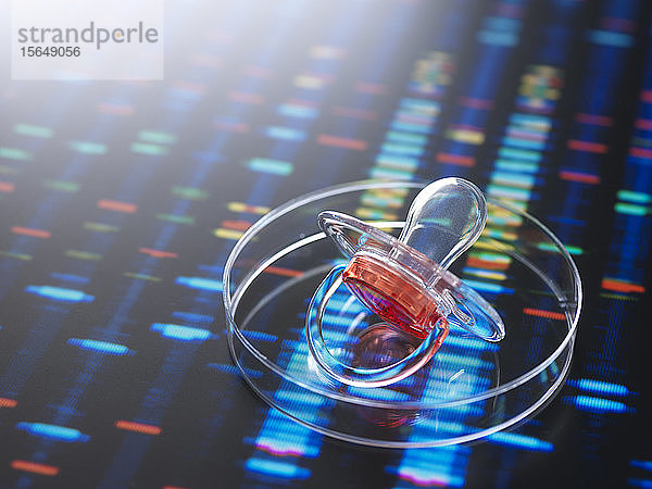 Babyschnuller in Petrischale zur Darstellung des Babys neben dem menschlichen DNA-Profil