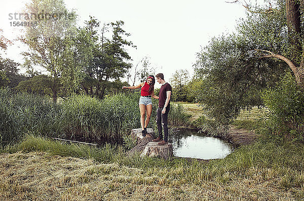 Mann hilft Frau beim Balancieren auf Baumstämmen im Teich  Wilhelminenberg  Wien  Österreich