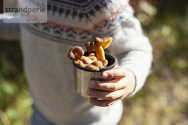 Junge mit einer Tasse wilder Pilze im Wald  Craterellus tubaeformis