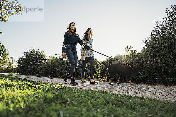 Schwestern gehen mit Hund im Park spazieren