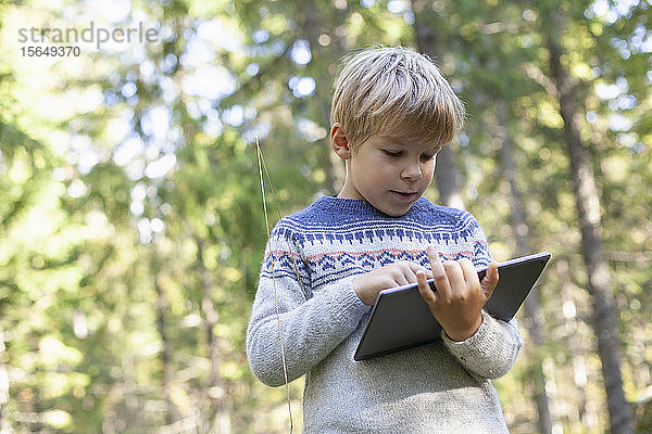 Junge benutzt digitales Tablett im Wald