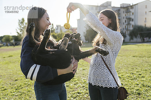 Schwestern spielen mit Hund im Park