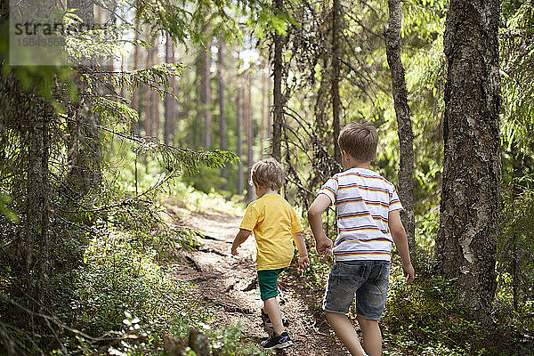 Brüder erforschen Wald  Finnland