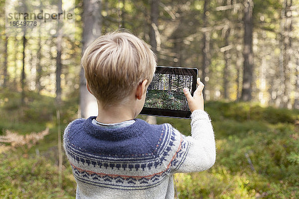 Junge fotografiert Wald