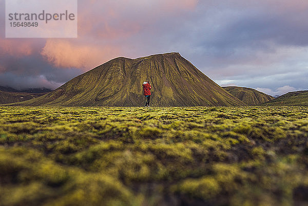 Wanderer erkundet moosbewachsene Landschaft  Landmannalaugar  Hochland  Island
