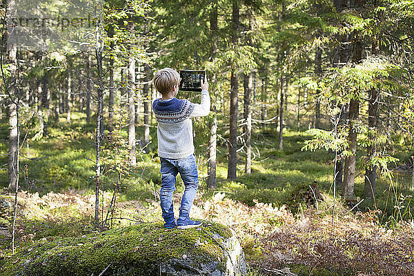 Junge fotografiert Wald
