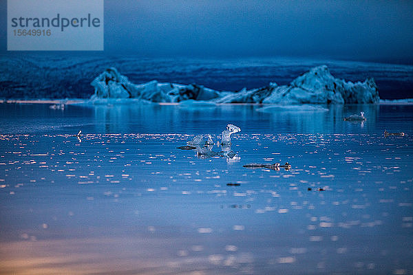 Schwebendes schmelzendes Eis  Jokulsarlon-Lagune  Island