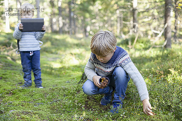 Kleinkind fotografiert Bruder beim Sammeln von Wildpilzen im Wald