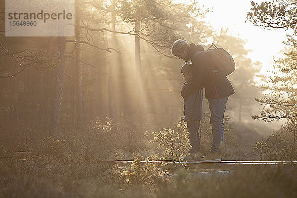 Vater und Sohn erkunden Wald  Finnland