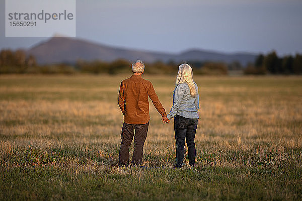 Händchenhaltendes Paar in einem Feld bei Sonnenuntergang in Picabo  Idaho  USA
