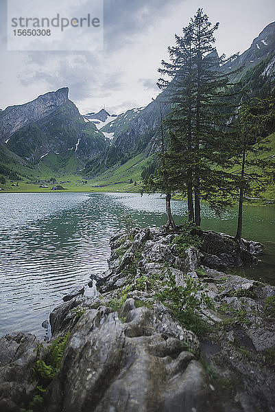 Seealpsee in den Appenzeller Alpen  Schweiz