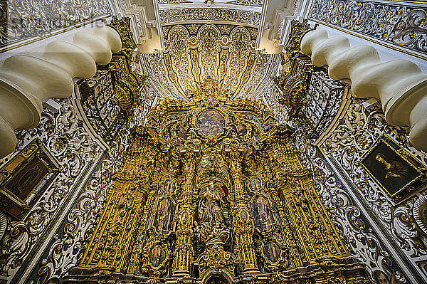 Verschnörkelter Altar in der Kirche des Heiligen Ludwig von Frankreich in Sevilla  Andalusien  Spanien