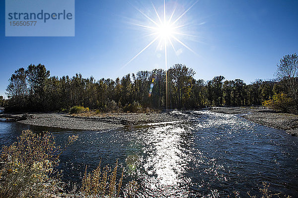 Big Wood River unter der Sonne in Bellevue  Idaho  USA
