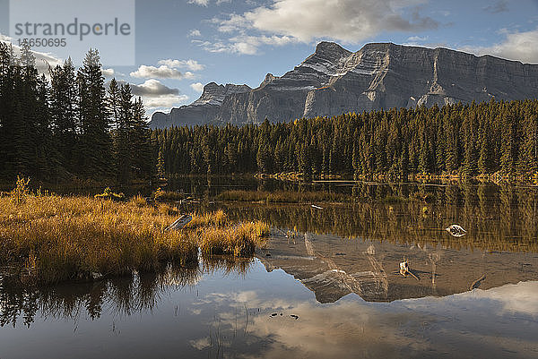 Mount Rundle spiegelt sich im Johnson Lake  Banff National Park  UNESCO-Weltkulturerbe  Alberta  Rocky Mountains  Kanada