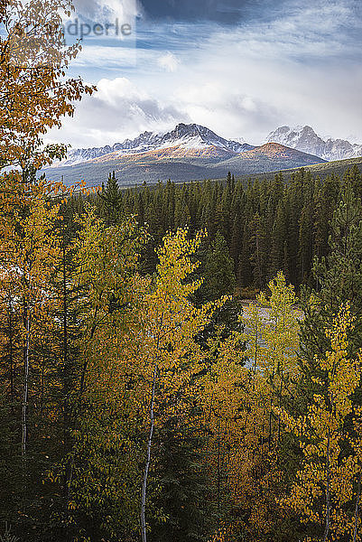 Gebirgskette bei Morant's Curve im Herbstlaub  Banff-Nationalpark  UNESCO-Weltkulturerbe  Alberta  Rocky Mountains  Kanada