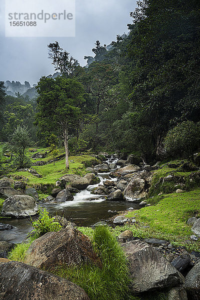 Savegre-Fluss (Rio Savegre)  San Gerardo de Dota  Provinz San José  Costa Rica