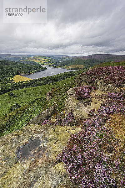 Bamford Edge im Sommer mit Heidekraut und Blick auf den Ladybower Stausee  Bamford  Derbyshire  England  Vereinigtes Königreich