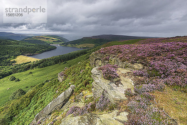 Bamford Edge mit Heidekraut und Blick auf den Ladybower-Stausee  Bamford  Derbyshire  England  Vereinigtes Königreich