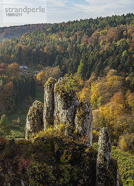 Die Handschuh-Felsformation  Ojcow-Nationalpark  Krakau-Tschenstochauer Hochebene (Polnischer Jura)  Woiwodschaft Kleinpolen  Polen