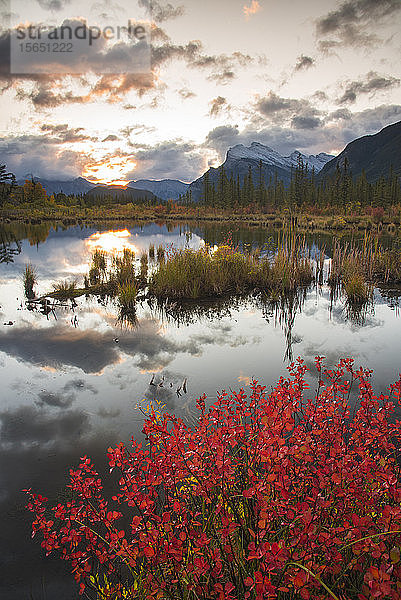Sonnenaufgang an den Vermillion Lakes mit Mount Rundle im Herbst  Banff National Park  UNESCO-Weltkulturerbe  Alberta  Rocky Mountains  Kanada
