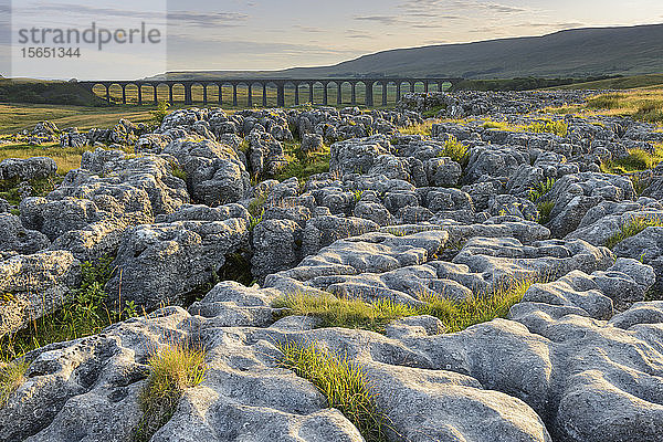 Kalksteinpflaster und das Ribblehead-Viadukt in den Yorkshire Dales  Yorkshire  England  Vereinigtes Königreich