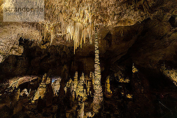 Carlsbad Caverns  The Big Room  UNESCO-Weltkulturerbe  Carlsbad  New Mexico  Vereinigte Staaten von Amerika