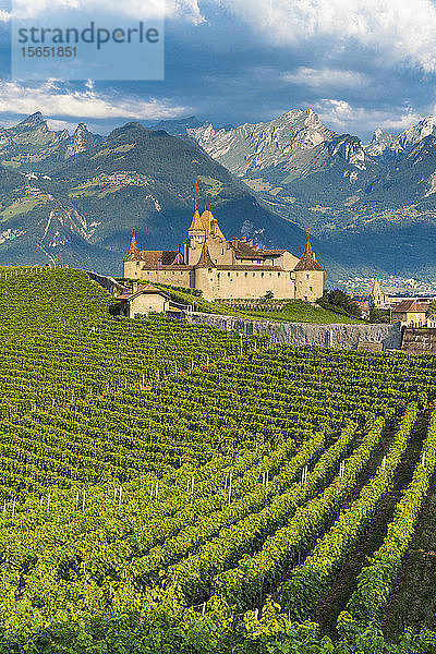 Schloss Aigle und Weinberge mit den Schweizer Alpen im Hintergrund  Kanton Waadt  Schweiz