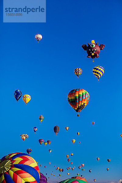 Massenaufstieg beim Fiesta Hot Air Balloon Festival  Albuquerque  New Mexico  Vereinigte Staaten von Amerika