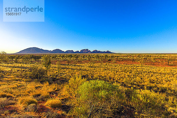 Mount Olga (Kata Tjuta) im Uluru-Kata Tjuta-Nationalpark  UNESCO-Weltkulturerbe  Australisches Outback  Northern Territory  Australien  Pazifik