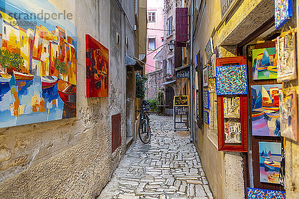 Blick auf Kunst und bunte Gemälde auf einer gepflasterten Straße in der Altstadt  Rovinj  Istrien  Kroatien  Adria  Europa