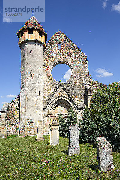 Ruinen  Zisterzienserkloster  gegründet 1202  Carta  Kreis Sibiu  Region Siebenbürgen  Rumänien