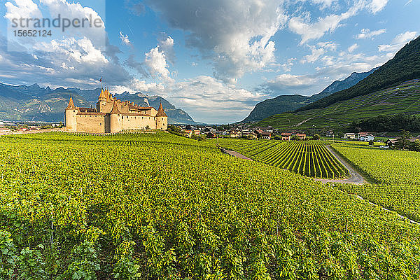 Schloss von Aigle inmitten von Weinbergen  Kanton Waadt  Schweiz