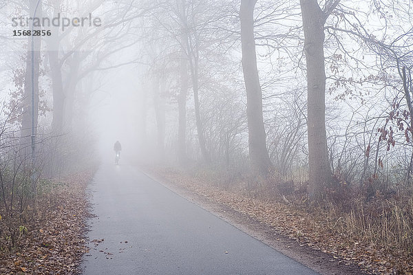 Radfahrer im Nebel  Schenefeld  Kreis Pinneberg  Schleswig-Holstein  Deutschland  Europa